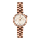 T1520103311801 Tissot Desir Bayan Kol Saati T152.010.33.118.01