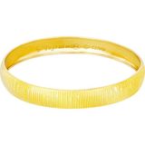 T51 Tuğrul Altın 10 Gr(Gram) 10 mm 22 Ayar Işçiliksiz Şarnelli Bilezik TBC0010 - 5,8