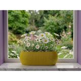 Ta-Fu Global 0,55 Lt Dikdörgen Balkon Saksısı (18CM x 6cm x 7cm En Boy Yük) - Sarı