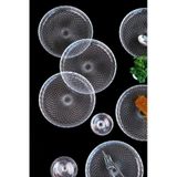 Tabak Evi Aden Cam Pasta Tabağı 19cm Sade 6 Lı 2339 Şeffaf