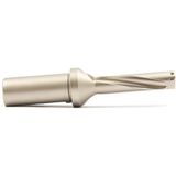 Tabaş Weldon Sapla Donatılmış Matkap Gövdesi Cnc Hassas Takım Metal İçin Değiştirilebilir Karbür Uçlar C25-4D16.5 SP06SP-C25-SD16.5-4D-06 SPMG060208 M2.2 T6