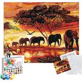 Tabdiko Sayılarla Boyama Seti 40 x 50 cm Tuval Şasesine Gerili Filler Renkli Akrilik Boya ve Fırça
