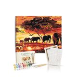 Tabdiko Sayılarla Boyama Seti 40 x 50 cm Tuval Şasesine Gerili Filler