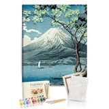 Tabdiko Sayılarla Boyama Seti 40 x 50 cm Tuval Şasesine Gerili Zirveye Bakış
