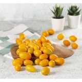 Taber 3 Yaş Tüplü Nagami Kamkat (Süs Portakalı) Fidanı (Aşılı)