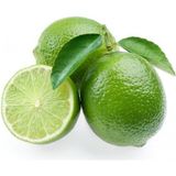 Taber 5 Yaş Aşılı Dikensiz Mexican Lime Limon Fidanı, Torbada - YOK