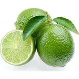 Taber 5 Yaş Aşılı Dikensiz Mexican Lime Limon Fidanı, Torbada