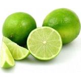 Taber 5 yaş Aşılı Lima Verde Tatlı Lime Limon Fidanı, Torbada
