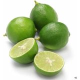 Taber 5 Yaş Aşılı Lime (Meksika) Limonu Fidanı, Saksıda - YOK