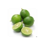 Taber 5 Yaş Aşılı Lime (Meksika) Limonu Fidanı, Saksıda