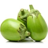 Taber Apple Green Patlıcan Tohumu (15 tohum)