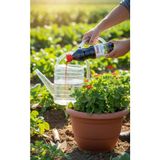 Taber Bitkiler için Demir Gübresi 250 ML, Şişede - Renkli