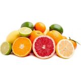Taber Greyfurt-Limon-Portakal-Kan Greyfurt-Tahiti lime Paket Fidanı