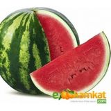 Taber Karpuz Tohumu Crimson Sweet 10 gr Paket