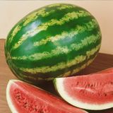 Taber Karpuz Tohumu Crimson Sweet 5 gr Paket