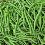 Taber Oturak Kılçıksız Fasulye Tohumu (25 gram)