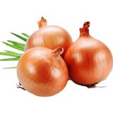 Taber Soğan (Banka) Tohumu 5 gr Paket