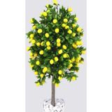TABER Tüplü Yediveren Limon Ağacı Fidanı