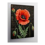 Tablo Mega Kanvas Tablo Gelincik Çiçeği 70 X 100 Cnvsdkey-123079-70-100
