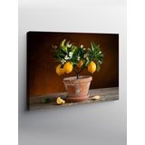 Tablo Mega Kanvas Tablo Limon Ağacı Ve Saksı YTCNVS502443, 100 x 140