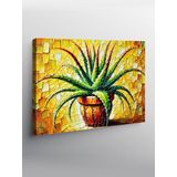 Tablo Mega Kanvas Tablo Renkli Aloe Vera Bitkisi YTCNVS502106, 70 x 100