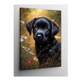 Tablo Mega Kanvas Tablo Siyah Labrador Köpek 70 X 100 Cnvsdkey-124248-70-100