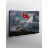 Tablo Mega Kanvas Tablo Türk Bayrağı Ve Dağ Manzarası YTCNVS502179, 70 x 100