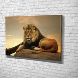 Tablo360 Aslan Kanvas Tablo 70X105