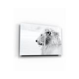tablohouse Beyaz Aslan Cam Tablo SARI KIRMIZI BEYAZ MAVİ 25 x 35
