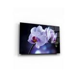 tablohouse Beyaz Orkide Cam Tablo SARI KIRMIZI BEYAZ MAVİ 46 x 72