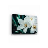 tablohouse Frangipani Cam Tablo SARI KIRMIZI BEYAZ MAVİ 25 x 35