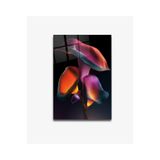 tablohouse Laleler Cam Tablo SARI KIRMIZI SİYAH MAVİ 25 x 35