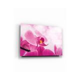 tablohouse Pembe Orkide Cam Tablo SARI KIRMIZI BEYAZ MAVİ 40 x 60