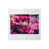 tablohouse Pembe Papatya Cam Tablo SARI KIRMIZI SİYAH MAVİ 60 x 90