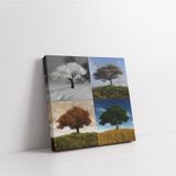 Tablolife Dört Mevsim Ağaç 60 x 90 cm Kanvas Tablo