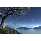 Tablolife Hilal ve Sakura Ağacı 35 x 50 cm Kanvas Tablo