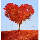Tablolife Kırmızı Kalp Ağacı 60 x 90 cm Kanvas Tablo