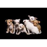 Tablolife Köpek Yavruları 35 x 50 cm Kanvas Tablo