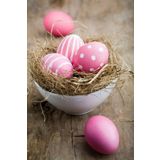 Tablolife Pembe Yumurtalar 60x90 cm Kanvas Tablo