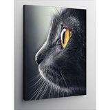 Tablolife Sarı Gözlü Kedi 35x50 cm Kanvas Tablo