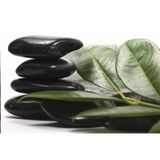 Tablolife Spa Taşı 35 x 50 cm Kanvas Tablo