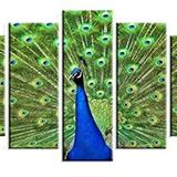 Tablolife Tavus Kuşu 5 Parçalı 60x100 cm Kanvas Tablo