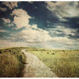 Tablolife UZUN İNCE BİR YOL 60 x 90 cm KANVAS TABLO