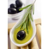 Tablolife Zeytin ve Yağı 60x90 cm Kanvas Tablo