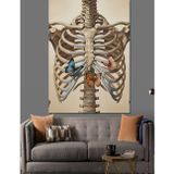 Tablomega Anatomik İskelet Kemik Kaburga Kafesi Dekoratif Kanvas - Mdf Ahşap Tablo