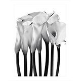Tablomega Beyaz Çiçekler Dekoratif Ahşap Tablo 25cmx 35cm