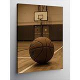 Tablomega Kanvas Tablo Basketbol Sahası Ve Top