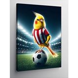 Tablomega Kanvas Tablo Futbol Kuşu