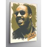 Tablomega Kanvas Tablo Stevie Wonder