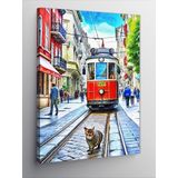 Tablomega Kanvas Tablo Taksim'De Tramvay Ve Kedi
